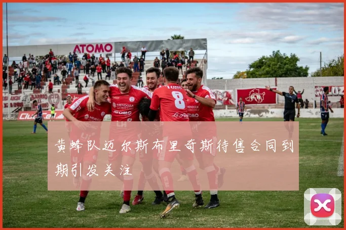 黄蜂队迈尔斯布里奇斯待售合同到期引发关注