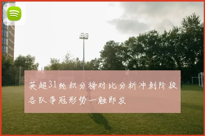 英超31轮积分榜对比分析冲刺阶段各队争冠形势一触即发