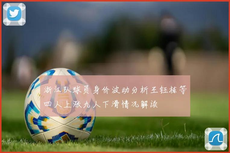 浙江队球员身价波动分析王钰栋等四人上涨九人下滑情况解读