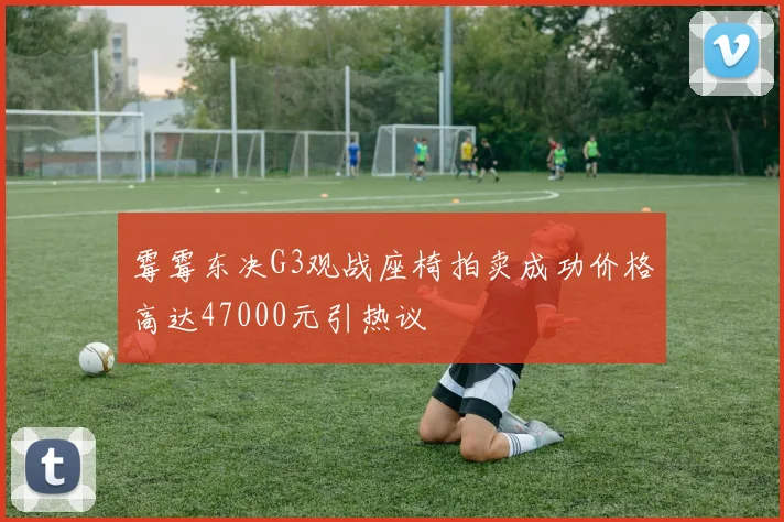 霉霉东决G3观战座椅拍卖成功价格高达47000元引热议