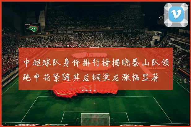 中超球队身价排行榜揭晓泰山队领跑申花紧随其后铜梁龙涨幅显著