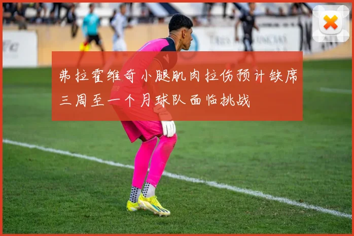 弗拉霍维奇小腿肌肉拉伤预计缺席三周至一个月球队面临挑战