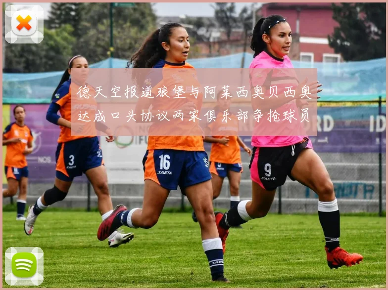 德天空报道狼堡与阿莱西奥贝西奥达成口头协议两家俱乐部争抢球员
